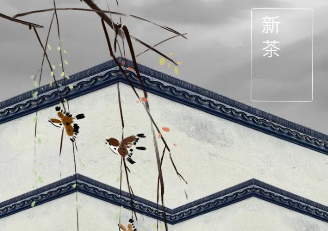 太極莊新菊上市！白菊婉清顏，芳香滿庭院